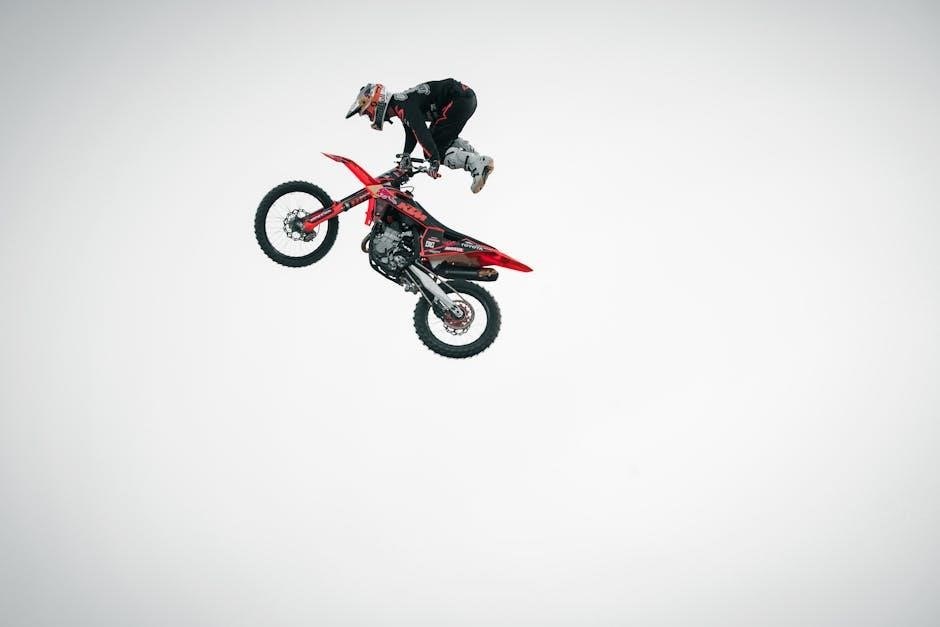 freestyle precision neo user manual